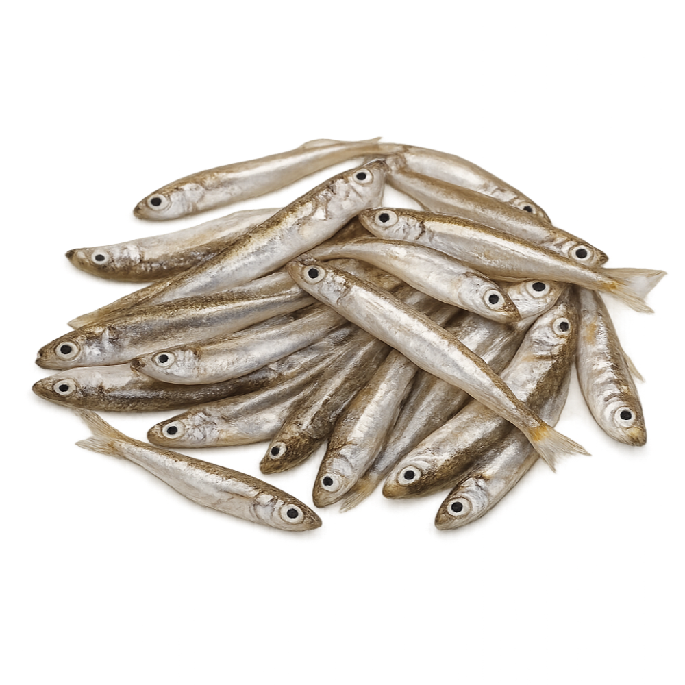 Atherina (Ährenfisch) "Four Fish" 1kg
